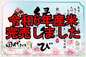 令和6年産 東白川産 縁結び 【玄米】3～20kg