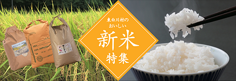 東白川村のおいしい新米特集