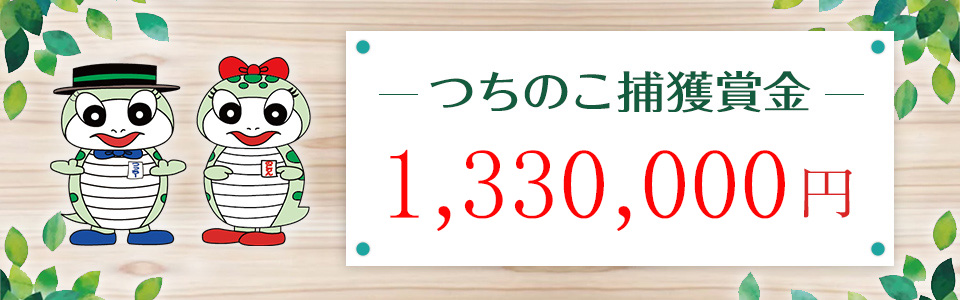 画像:つちのこフェスタ2025 つちのこ捕獲懸賞金1,330,000円